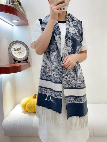 Streetwear Scarf DIOR 328869