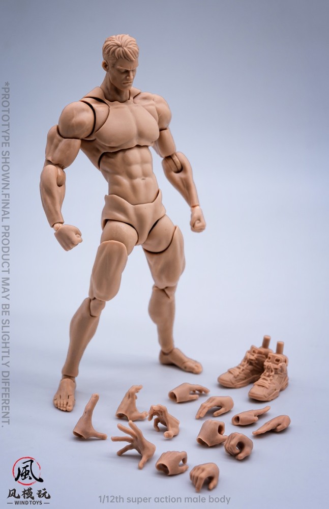 (In Stock)Wind Toys 1/6 Male Nude Body With 3 Colors