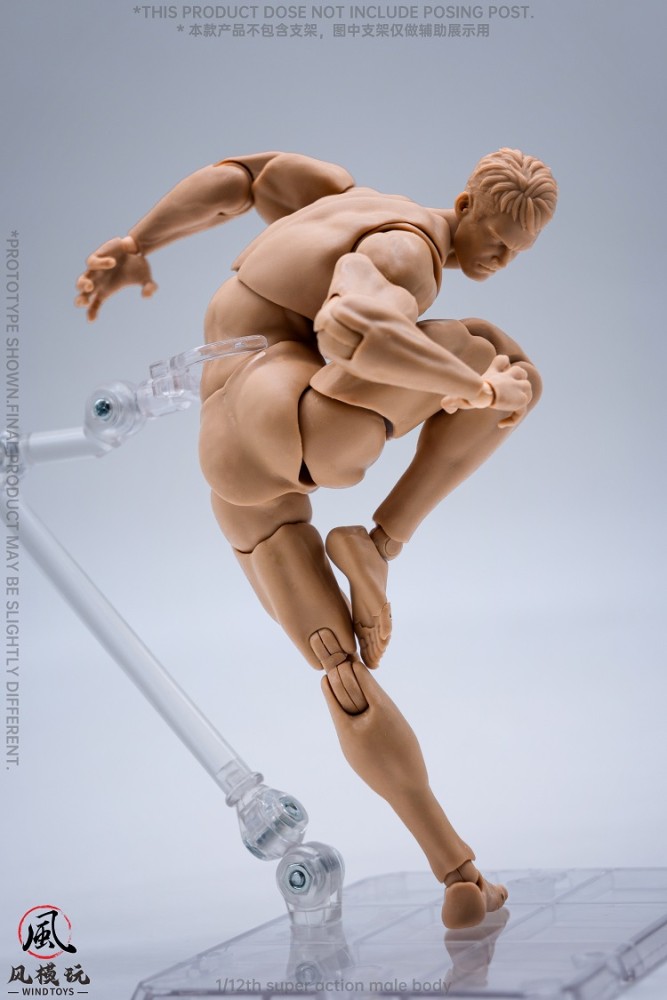 (In Stock)Wind Toys 1/6 Male Nude Body With 3 Colors