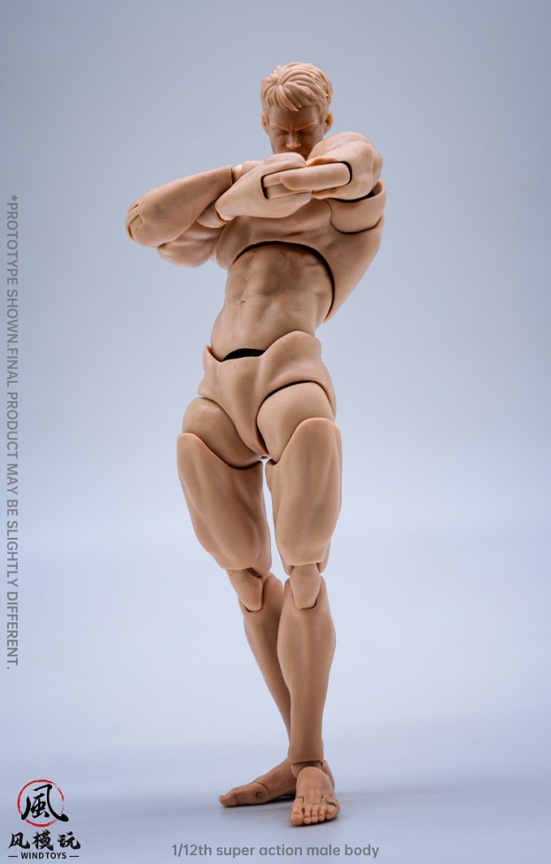 (In Stock)Wind Toys 1/6 Male Nude Body With 3 Colors