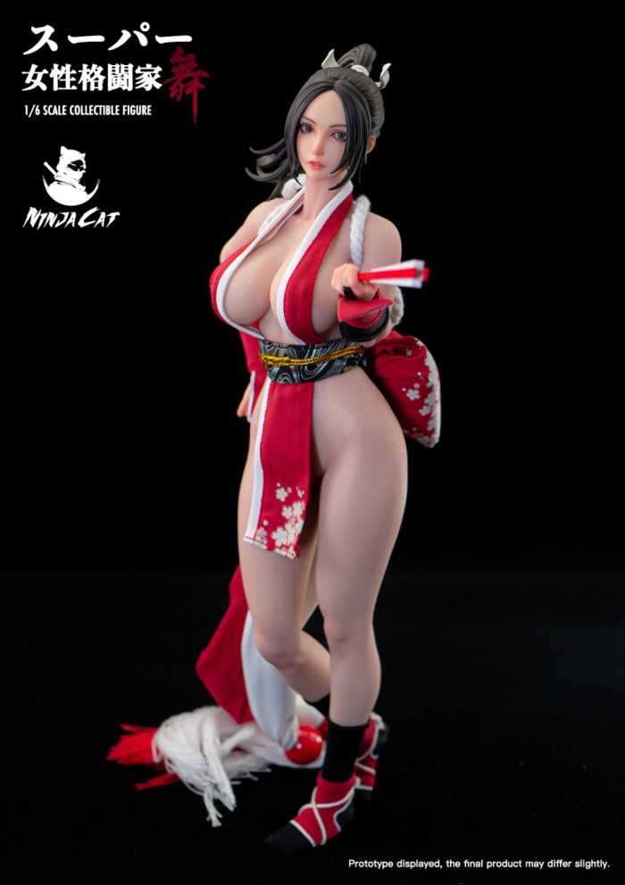 (Pre-order)Ninja Cat 1/6 Female Fighter Mai Realistic Figure N001