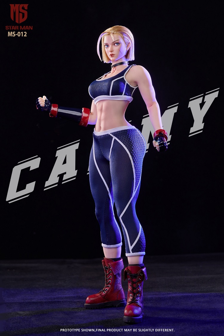 PLAYTOY 1/6 フィーメイル エージェント - ビー Star Man Female Agent - Blue Bee MS-012