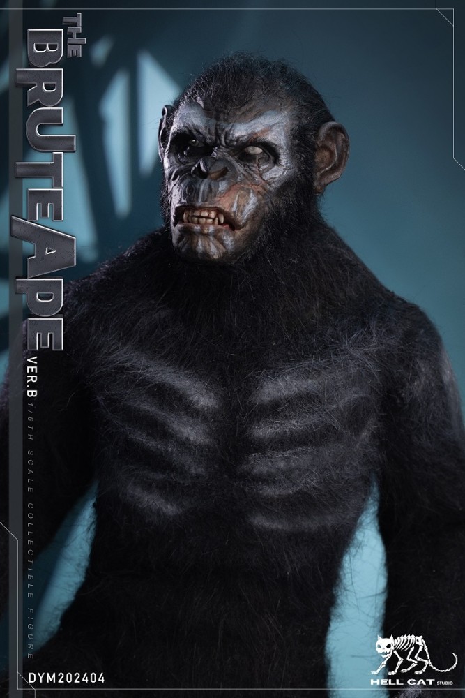 (Pre-order)Hell Cat 1/6 Ape Leader 12 Inch Realistic Figure DYM202404