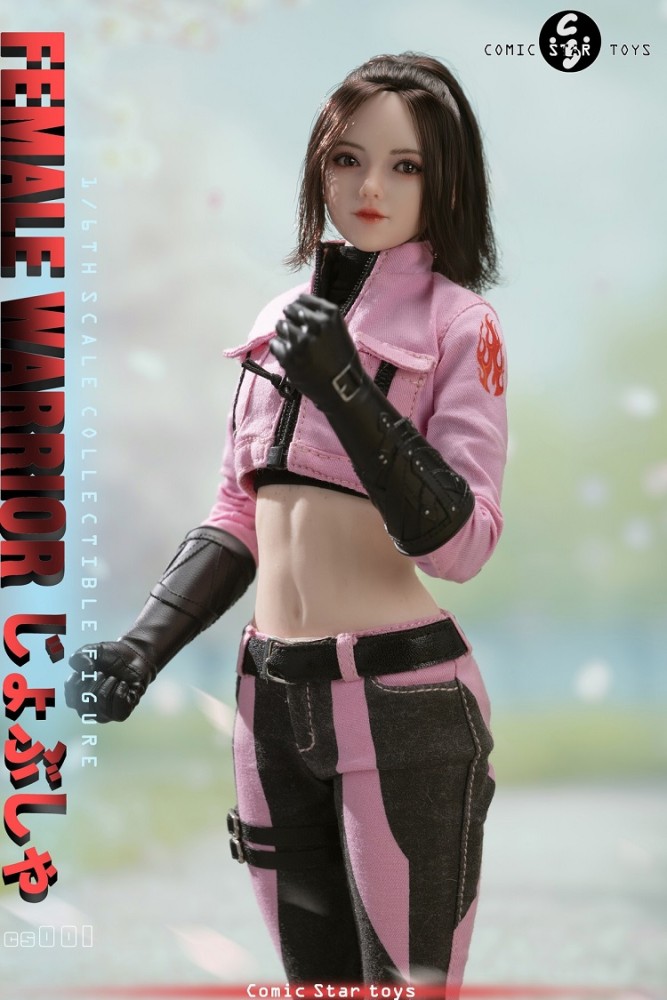 (Pre-order)Comic Star Toys 1/6 Sister Female Warrior Movable Figure CS001/CS002