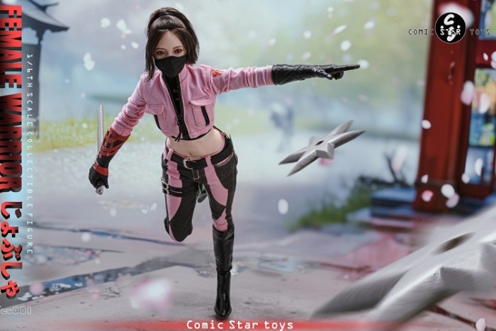 (Pre-order)Comic Star Toys 1/6 Sister Female Warrior Movable Figure CS001/CS002