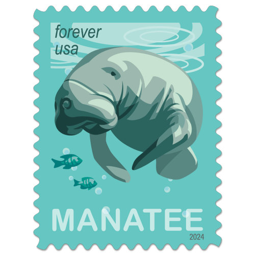 Save Manatees, 100 Pcs