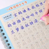 Reusable 3D Groove Practice For Copybook Synchronized Textbooks  Chinese Characters Children Practice Art Writing Books Age 6-18