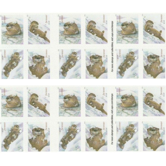 Otters in Snow 2021 - 5 Booklets  / 100 Pcs