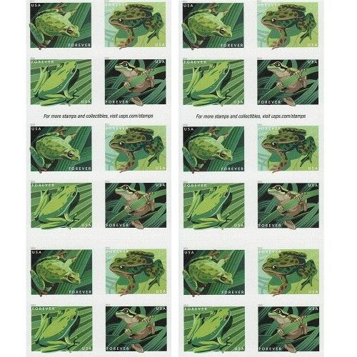 Frogs 2019 - 5 Booklets  / 100 Pcs