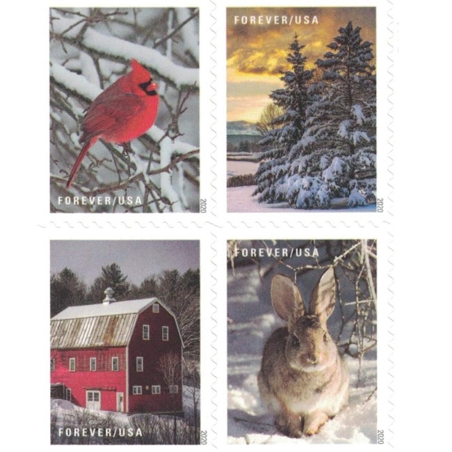 Winter Scenes 2020 - 5 Booklets  / 100 Pcs