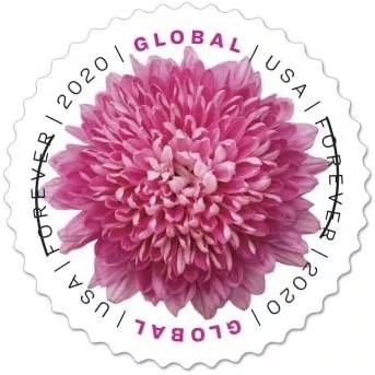 Global Chrysanthemum 2020 - 5 Sheets  / 50 Pcs