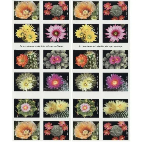 Cactus Flowers 2019 - 5 Booklets  / 100 Pcs
