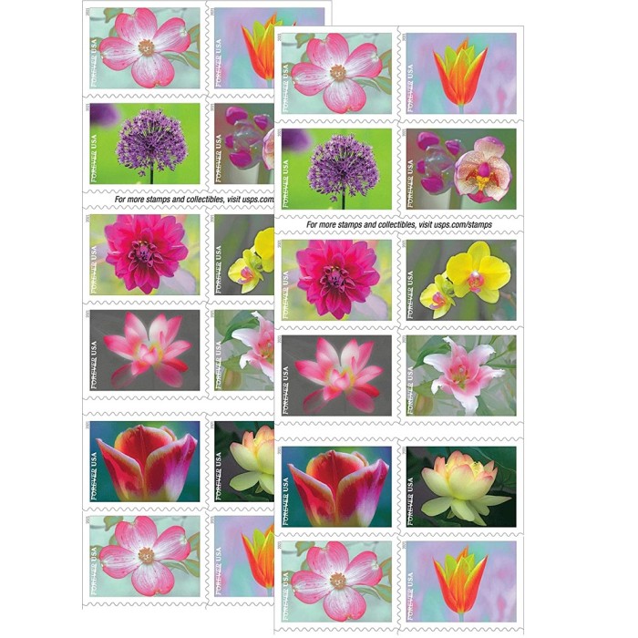 Garden Beauty 2021 - 5 Booklets  / 100 Pcs