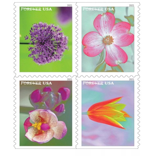 Garden Beauty 2021 - 5 Booklets  / 100 Pcs