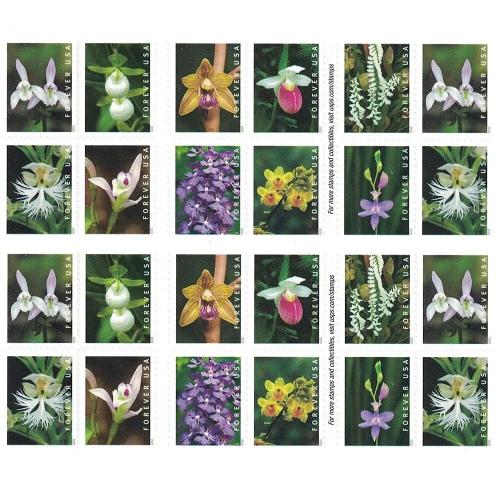 Wild Orchids 2020 - 5 Booklets  / 100 Pcs
