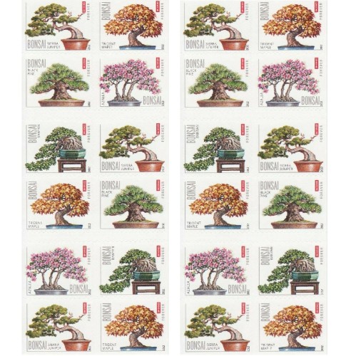 Bonsai 2012 - 5 Booklets  / 100 Pcs