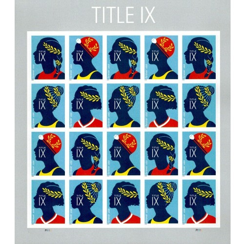 Title IX 2022- 5 Sheets / 100 Pcs