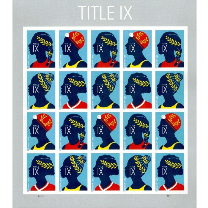 Title IX 2022- 5 Sheets / 100 Pcs
