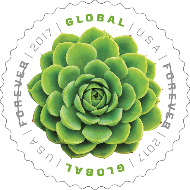 Global Green Succulent 2017 - 5 Sheets  / 50 Pcs