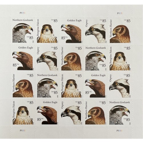 Birds of Prey 2012 - 5 Sheets / 100 Pcs
