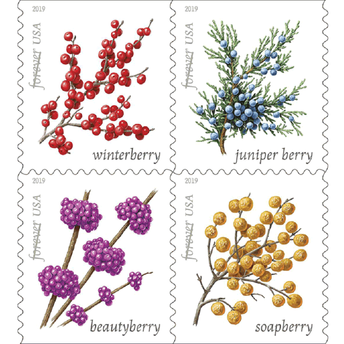 Winter Berries 2019 - 5 Booklets  / 100 Pcs