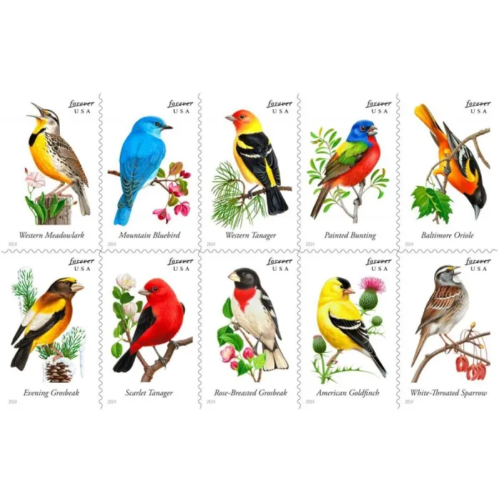 Song Birds 2014 - 5 Booklets  / 100 Pcs