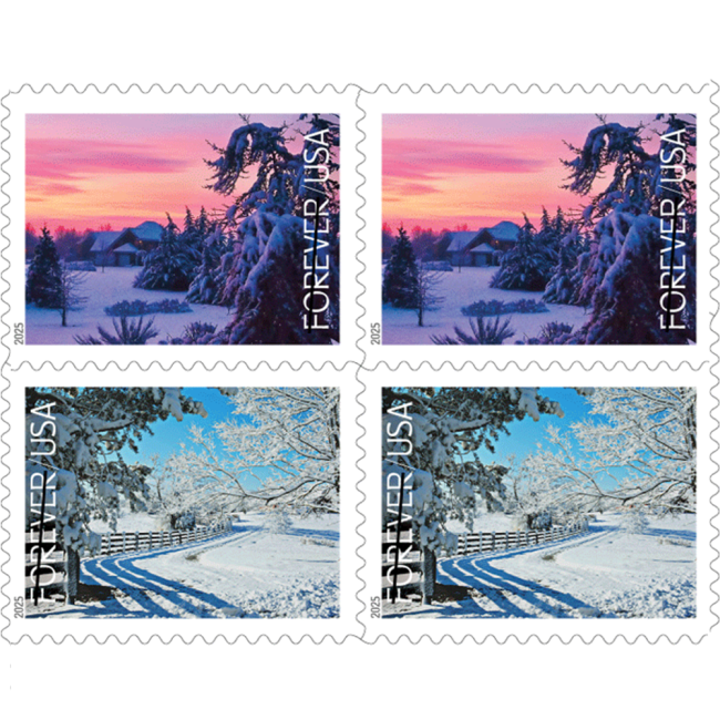 Winter Landscapes 2025 - 5 Booklets / 100 Pcs