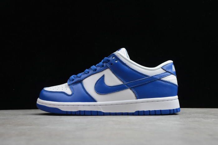 Dunk Low shoes-24