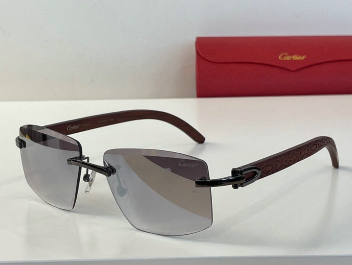 CTR Sunglasses AAA-55