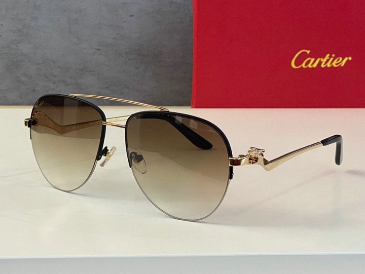 CTR Sunglasses AAA-69