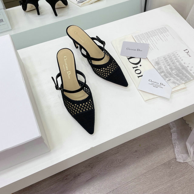 Dior Sandals -2