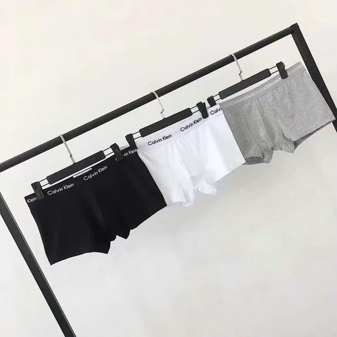CK Briefs-7