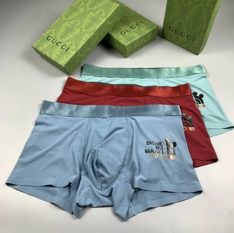 G Briefs-43