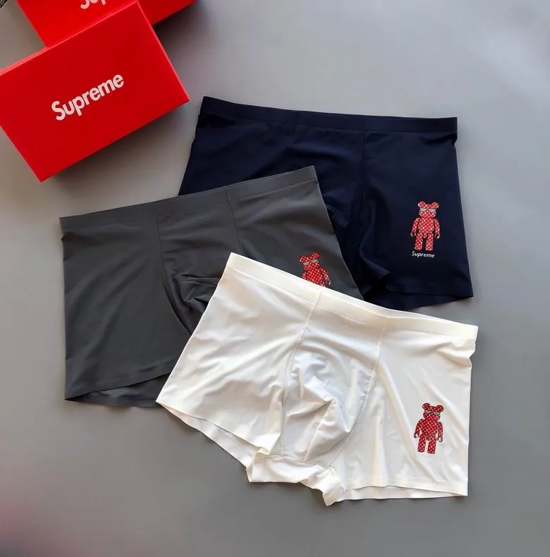 Sup Briefs-1