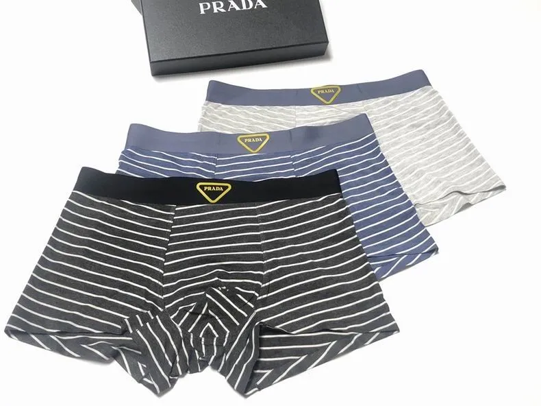 PR Briefs-12
