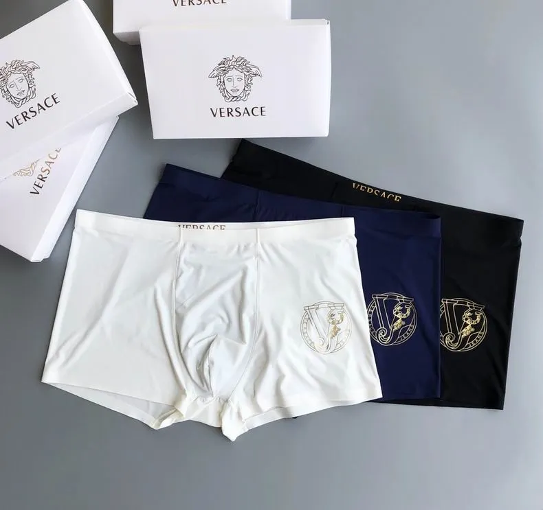 VSC Briefs-3