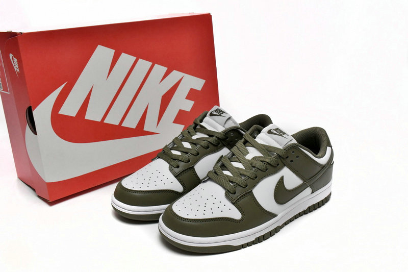 Dunk Low shoes-117