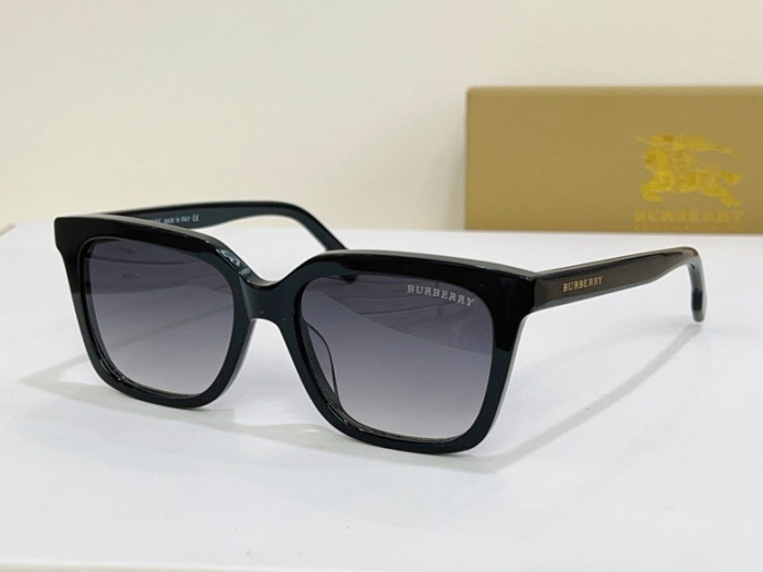 BU Sunglasses AAA-48