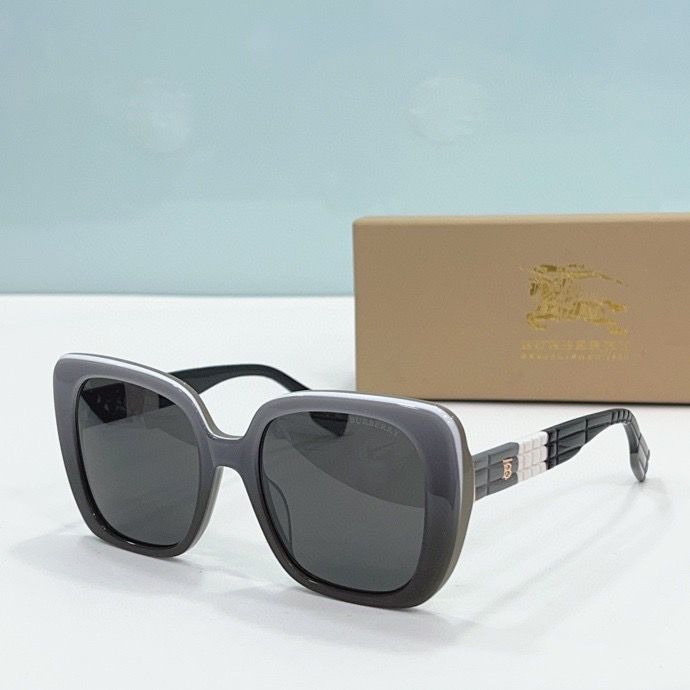 BU Sunglasses AAA-100
