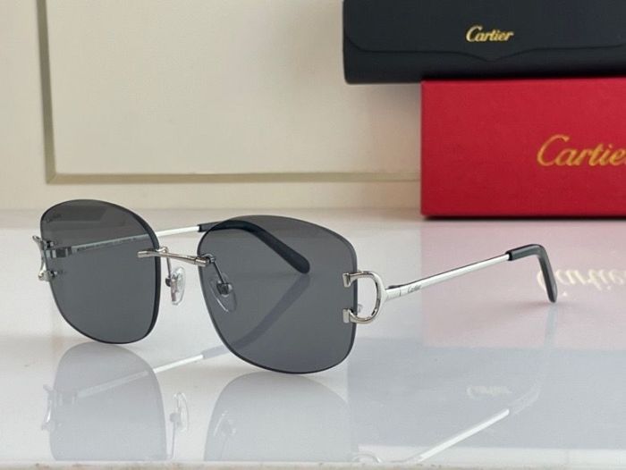 CTR Sunglasses AAA-63