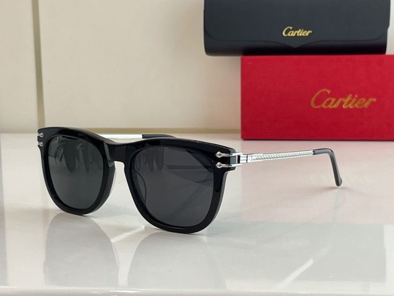 CTR Sunglasses AAA-46