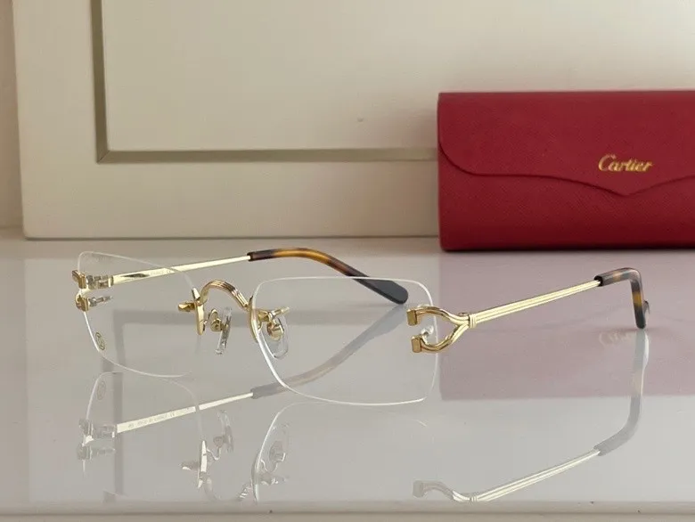 CTR Sunglasses AAA-33
