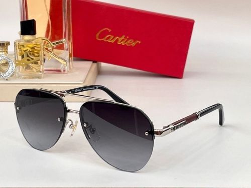 CTR Sunglasses AAA-38