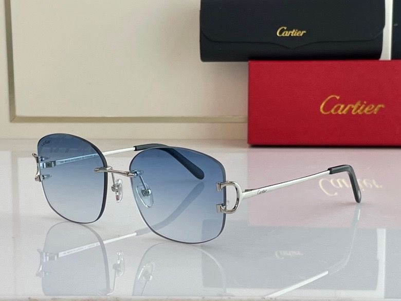 CTR Sunglasses AAA-63