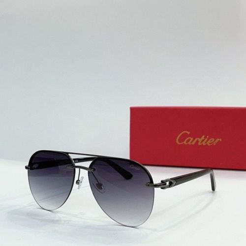 CTR Sunglasses AAA-146