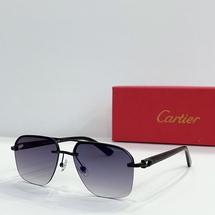 CTR Sunglasses AAA-145