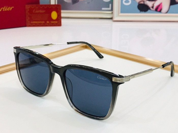 CTR Sunglasses AAA-105