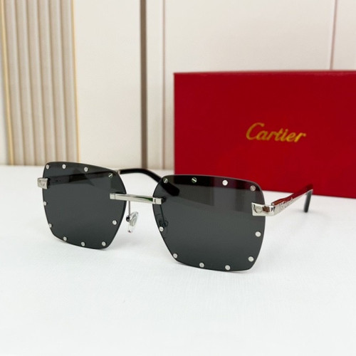 CTR Sunglasses AAA-140