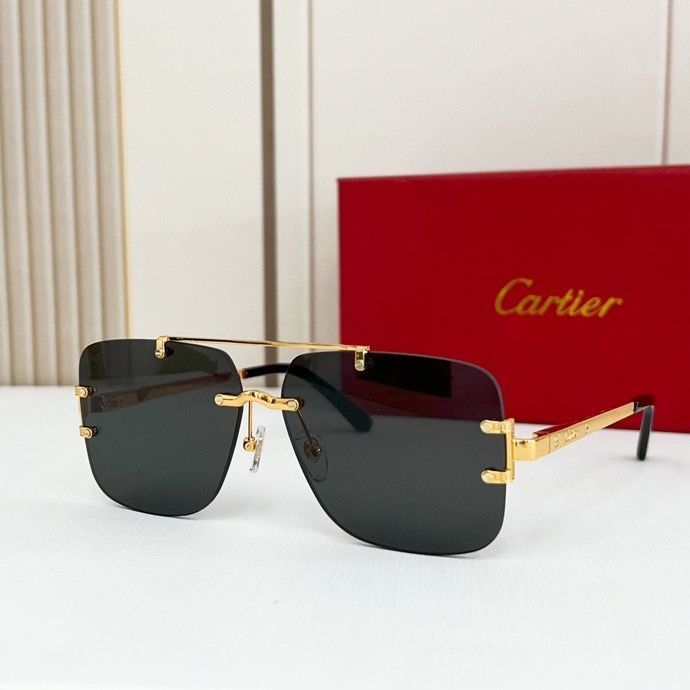 CTR Sunglasses AAA-165