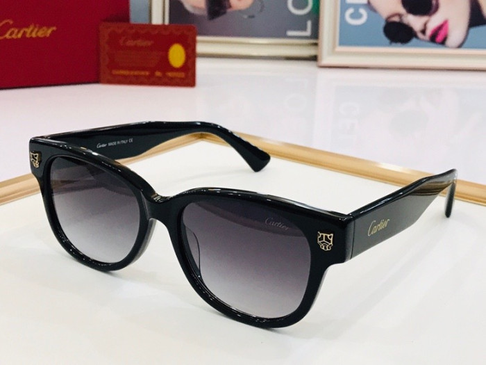 CTR Sunglasses AAA-103